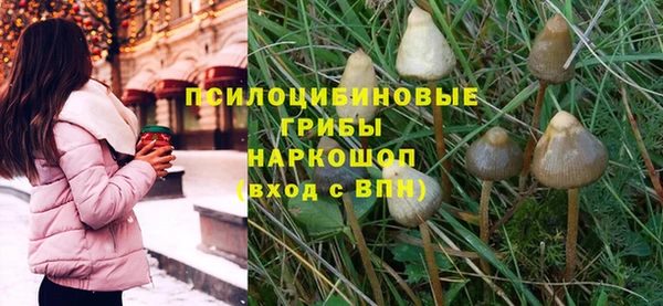 метамфетамин Белокуриха