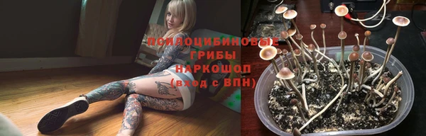 a pvp Беломорск