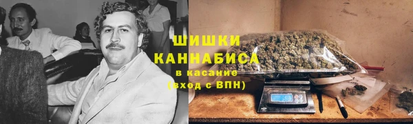 сатива Белоозёрский