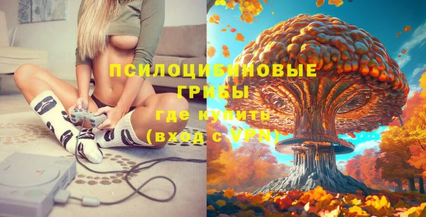 метамфетамин Белокуриха