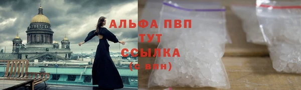 сатива Белоозёрский